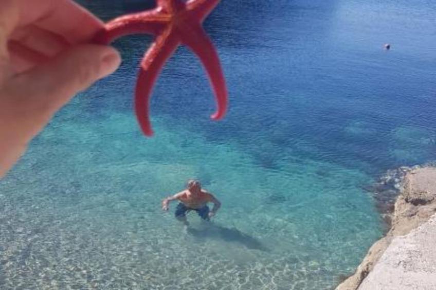 Apartments Franka Saplunara-Twin Room with Terrace and Sea view  No1 - foto 12