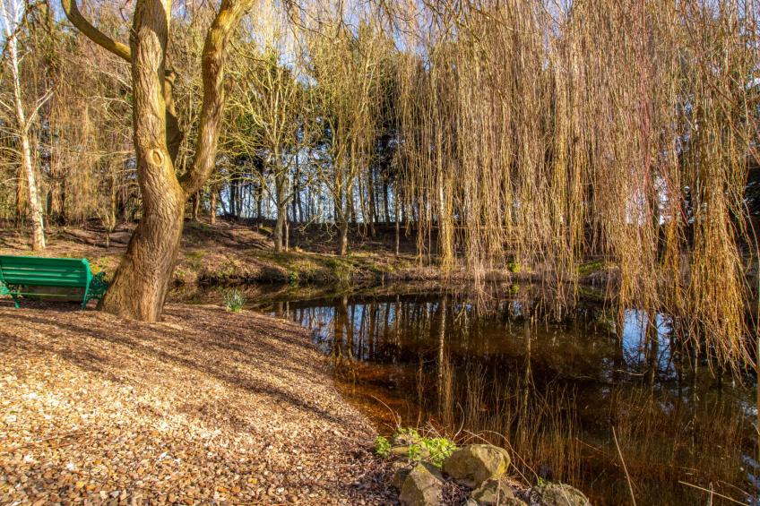 Hazel Rose Cottage - foto 3