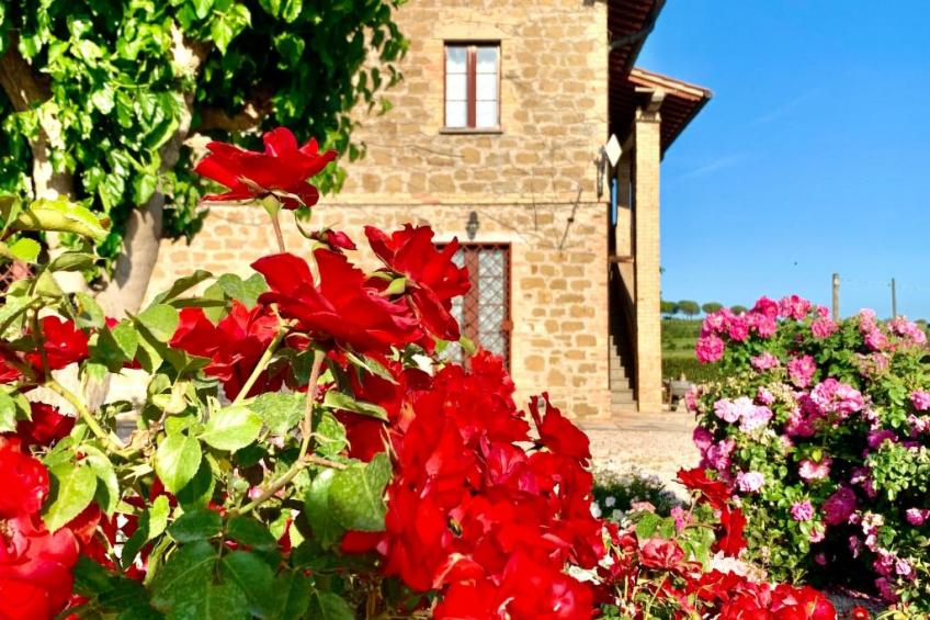 Mela' Wohnung mit Gemeinschaftspool - foto 35