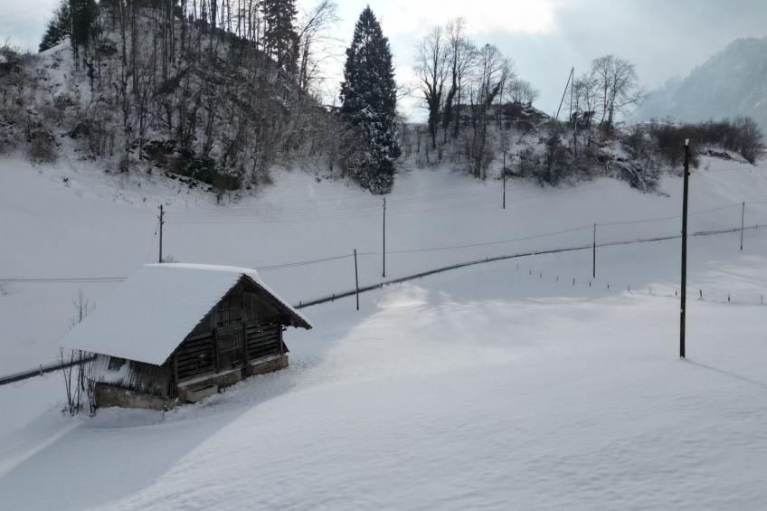 Chalet Oasis - foto 25