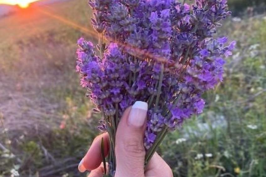 Wohnung in einer engen und ruhigen Anlage - foto 29