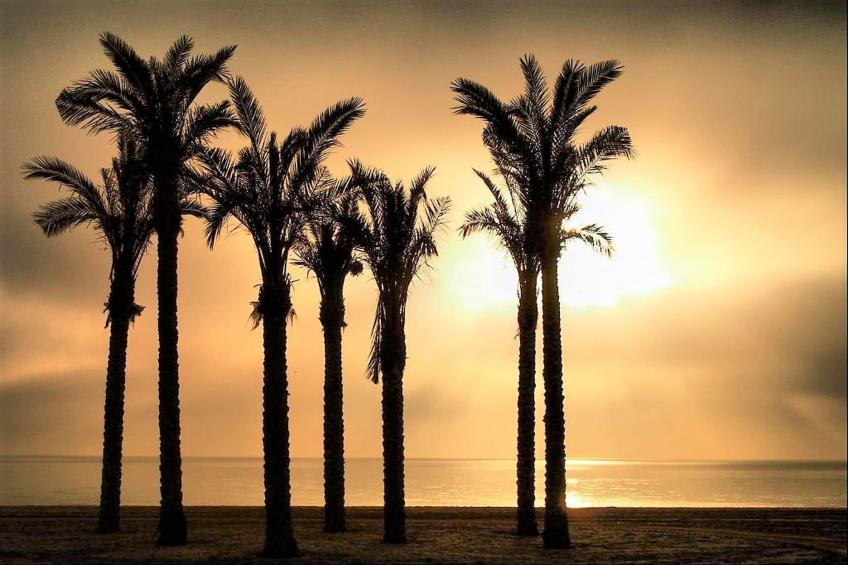 Residencial Mediterraneo - foto 33