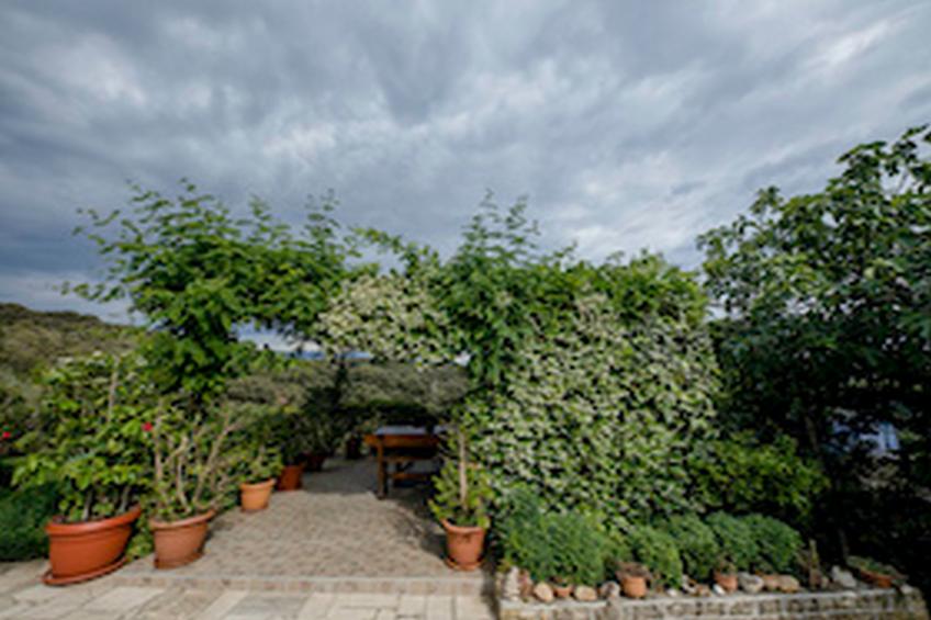 Apartments & Rooms Green Bay - Two Bedroom Apartment with Balcony and Sea View (APP 6) - foto 11