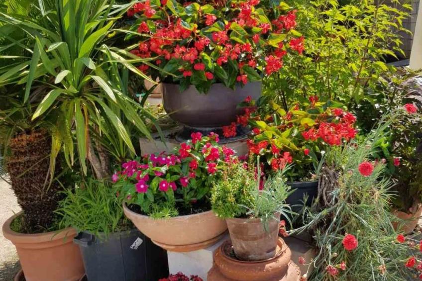 Appartement Silvy 3 in einem Steinhaus im istris - foto 19