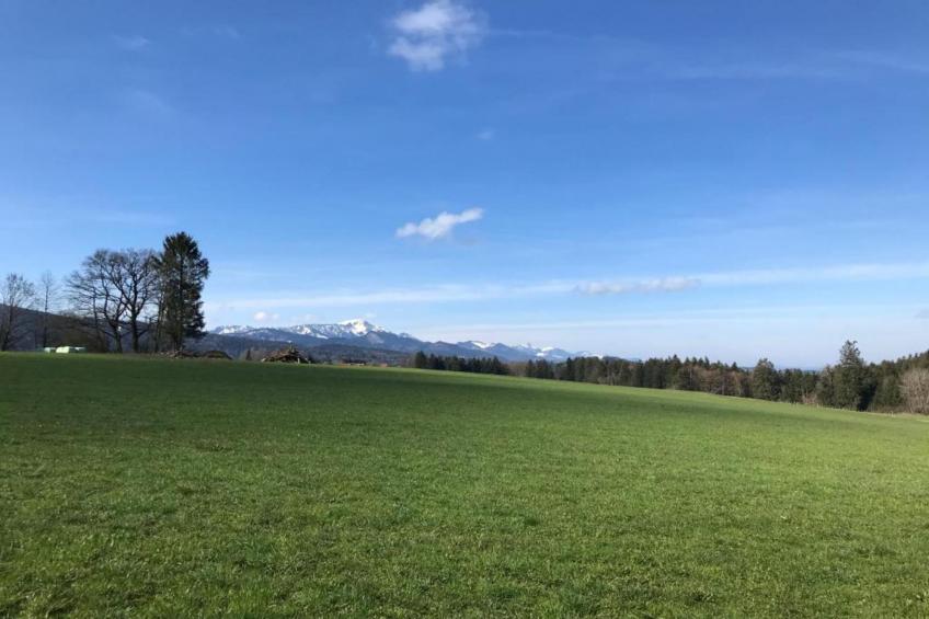 Ferienwohnung Crokus Siegsdorf - foto 16