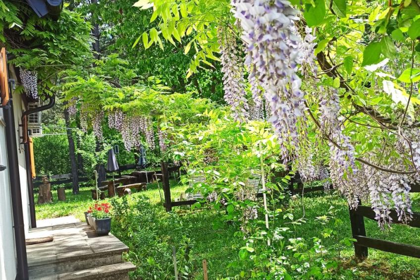 Übernachtung für einen unvergesslichen Besuch der Plitvicer Seen - foto 12