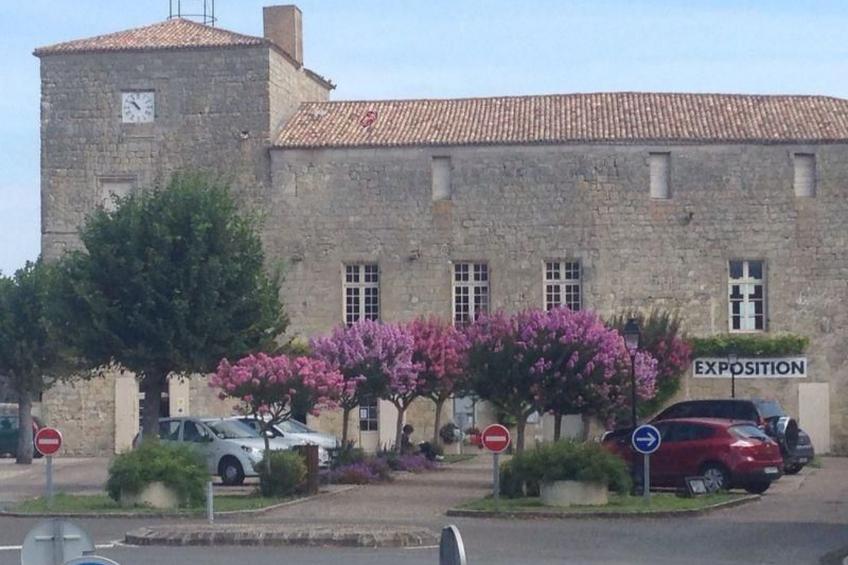 Pujols Petite - foto 15