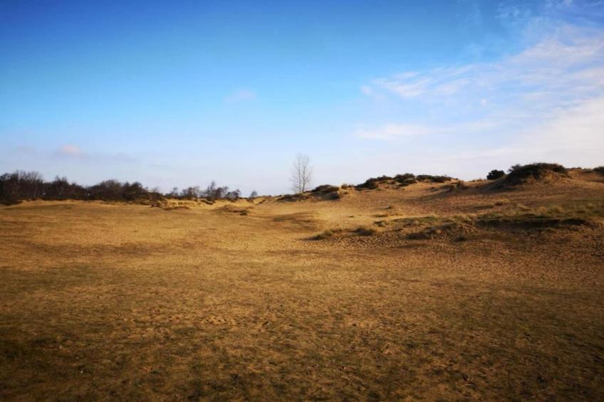 PLAZA A2/0022 - foto 14