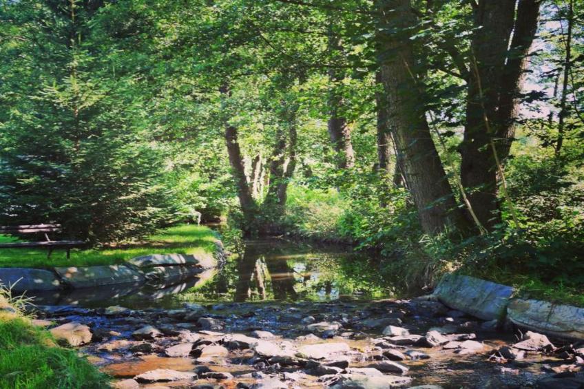 Bad Elster - foto 24