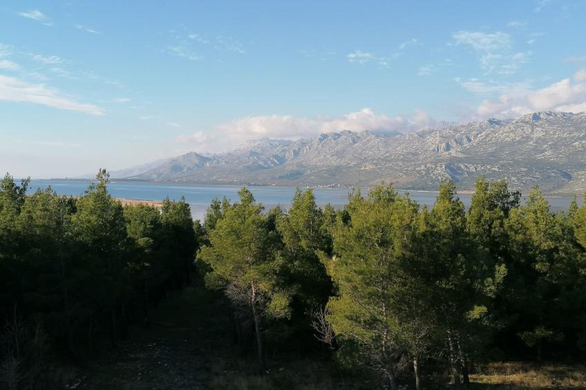 Wohnung Rončević - foto 6