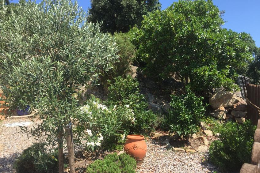 Gemütliches Ferienhaus mit Pool und Meerblick - foto 26