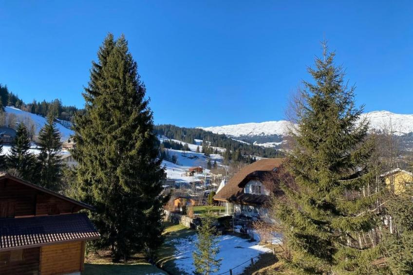 Chalet Bacchus (OG) - foto 6