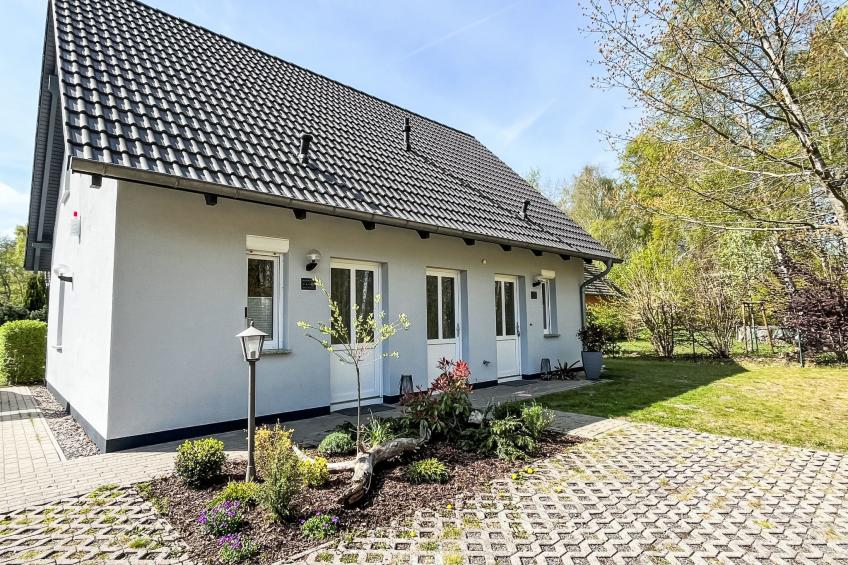 Möwen und Muschel Nest - foto 51