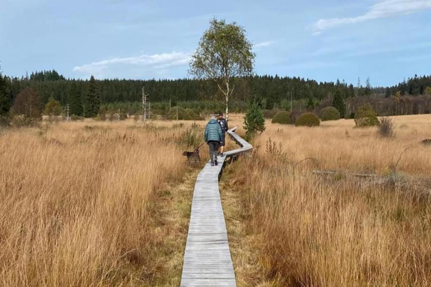 Le Gîte de Jevigné - foto 37