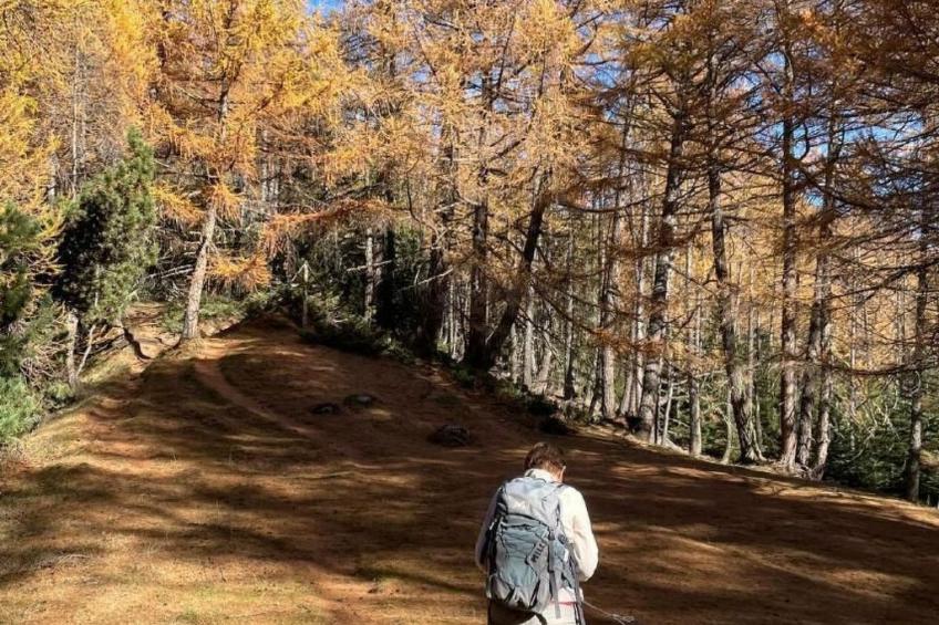 Malu in Ausserberg - foto 9