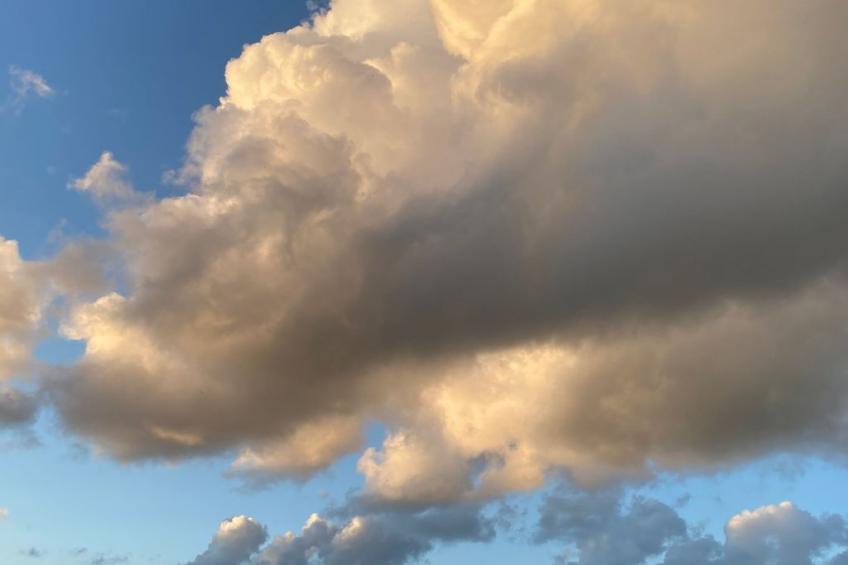 Altes Pastorenhus - foto 42