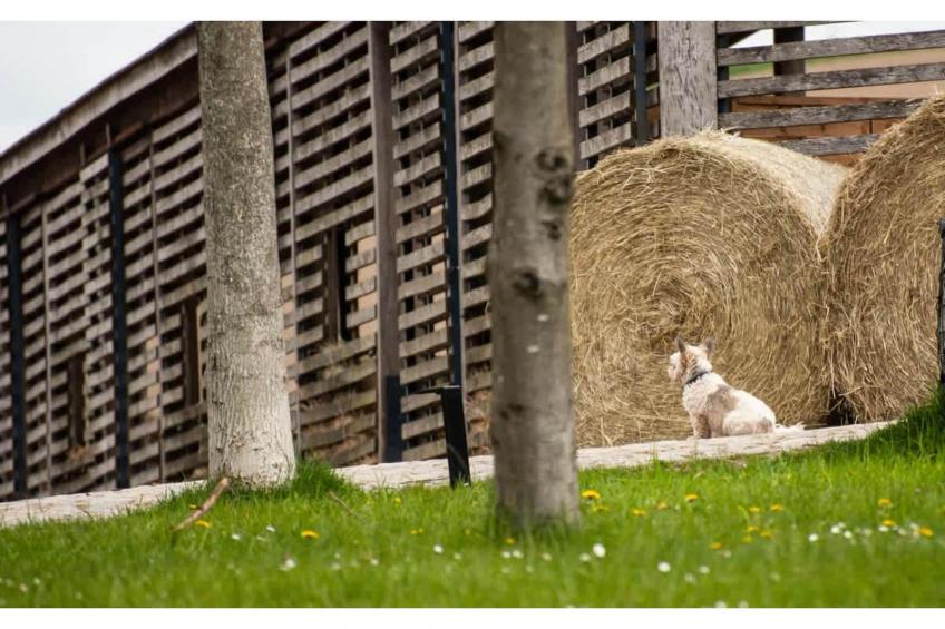 TH3 1P 40€(5) Schulz - foto 18