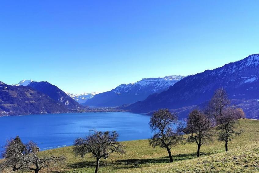 Traumblick Krattigen - foto 36