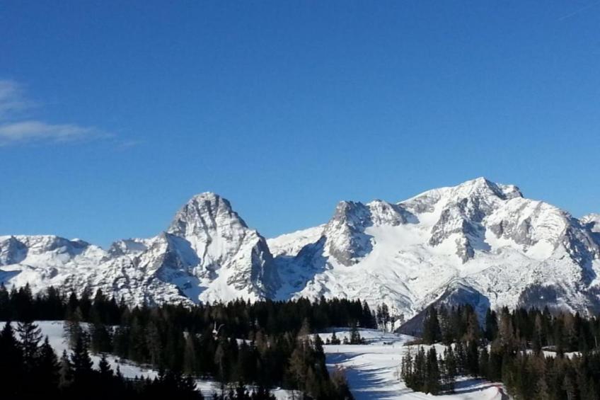 Apartment HAL  - one bedroom apartment - foto 15