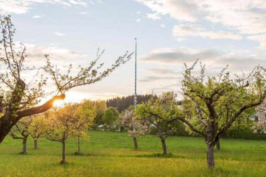 mit Blick auf das Wasser - foto 34
