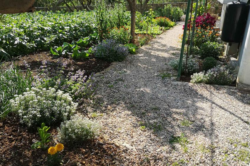 Vakantiewoning met airconditioning en barbecue - VW-T86Z - foto 10