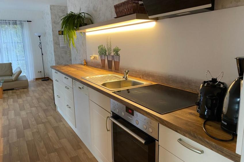 Geräumige Wohnung in Bad Elster mit Terrasse, Garten und Grill - foto 21