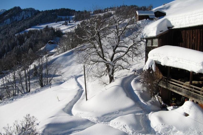 Stirnimann-Gemsch, (Valzeina), stirnimann-gemsch_valzeina - foto 11