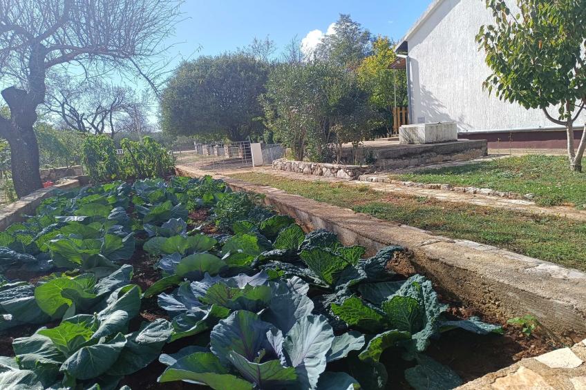 Holiday Home Višnja - Two Bedroom Holiday Home with Terrace - foto 25