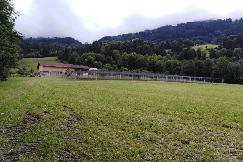 Steinachhof - foto 30