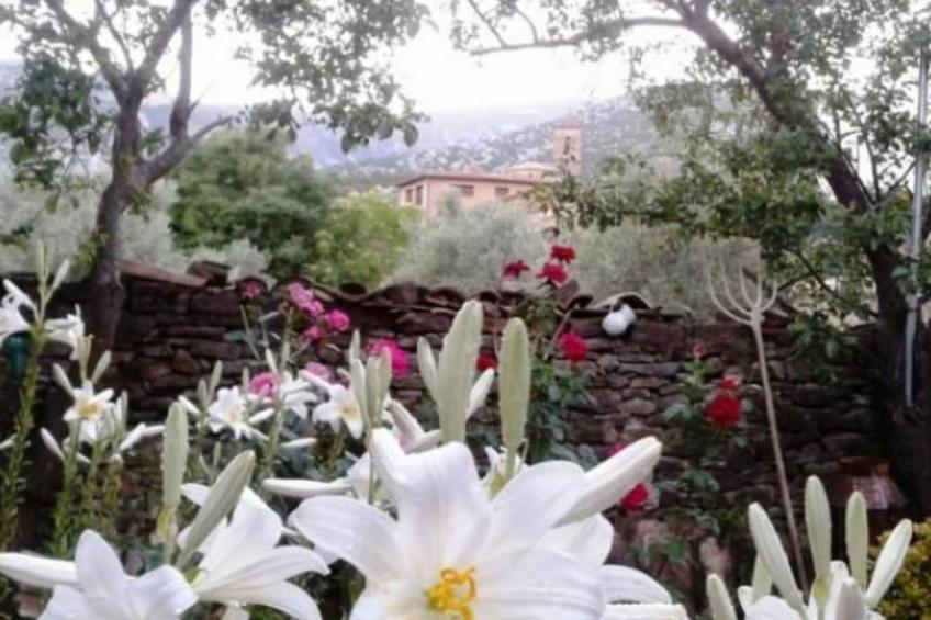 Javier Haus - foto 18