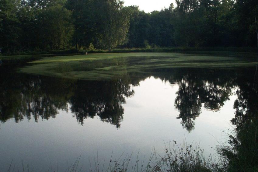 Fewo Stricker 22 - foto 32