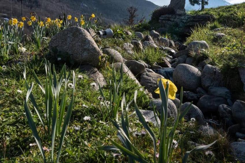 Résidence Clos Mirabelle - foto 16