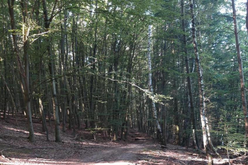 Ober-Waroldern - foto 22