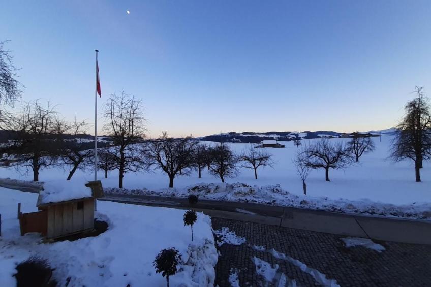 auf dem Bauernhof - foto 31