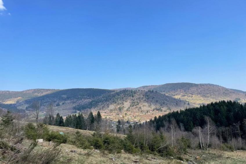 La Bergerie - foto 29