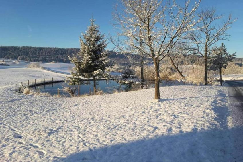 Meisdorf I - foto 25