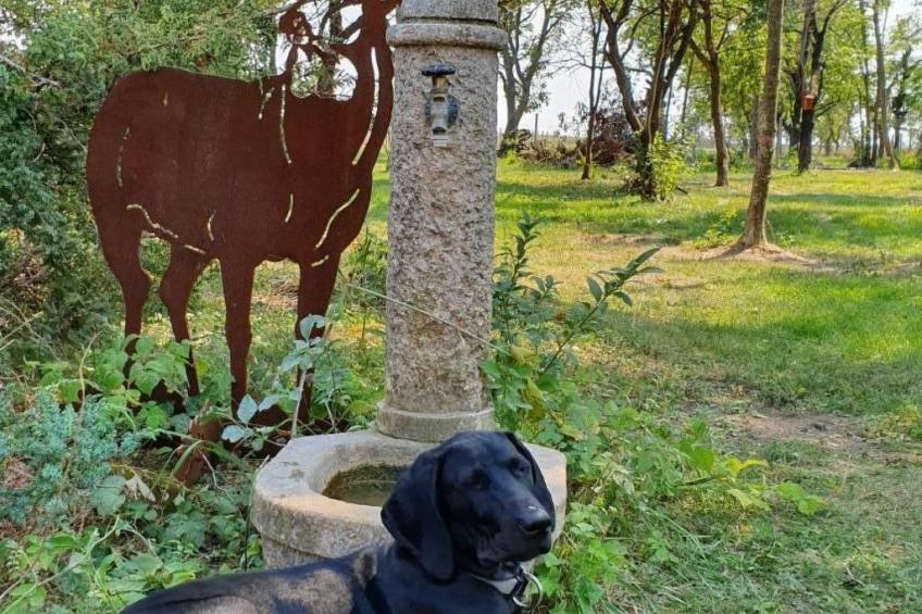 in Lócs mit Privatem Pool - foto 34