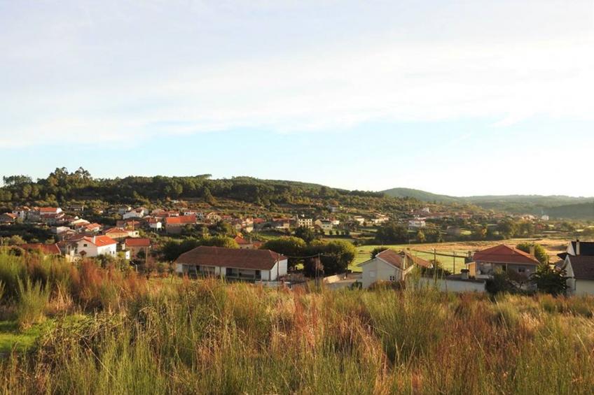 Ferien auf dem Bauernhof mit Weinberg - foto 36