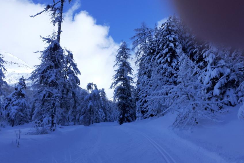 Urlaub in den Bergen - foto 28