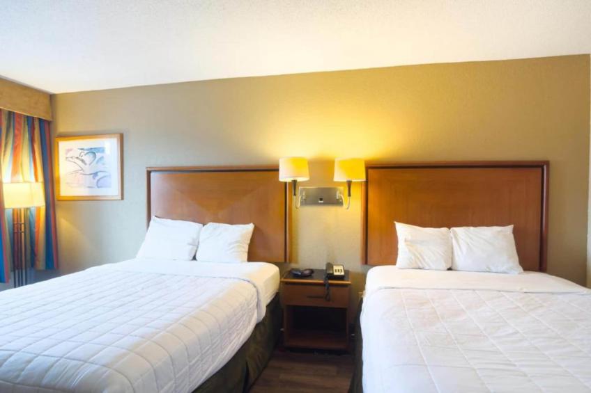 2 Queen Bed Smoking - foto 5