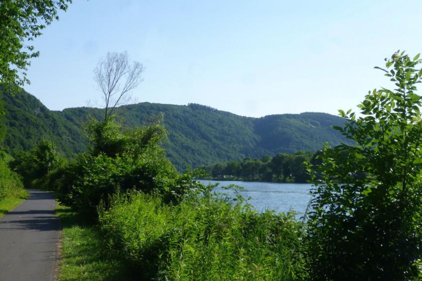 Moselschiefer-Traumferienwohnung am Moselufer - foto 34