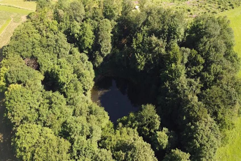 Am Ferienhof - foto 14