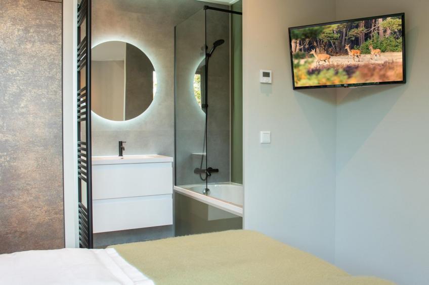 Veluwe hoeve 4 people sauna - foto 4