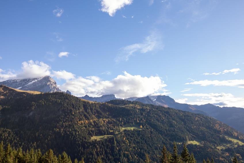 Les Arsets 308/15 - foto 28