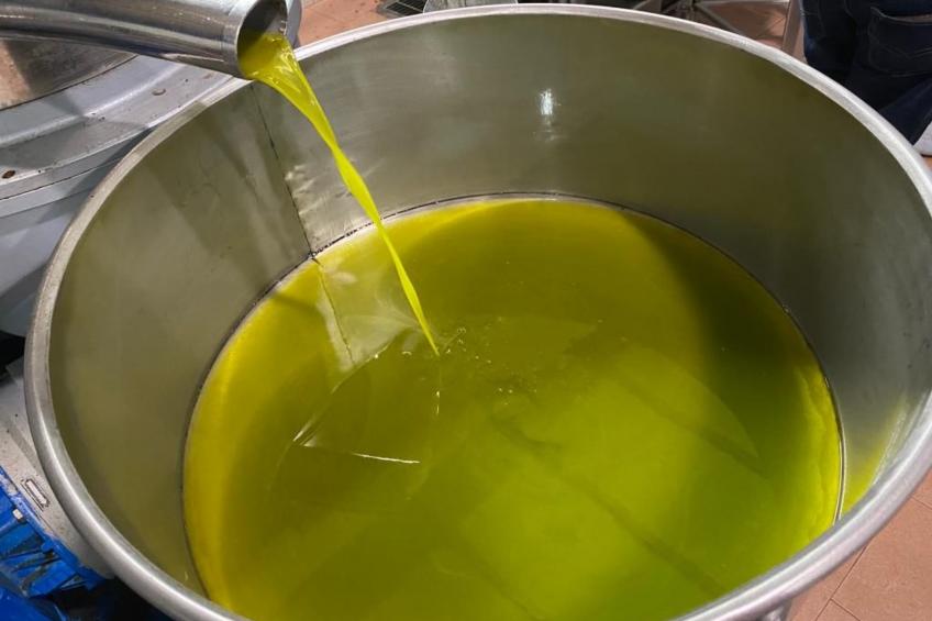 Großes Studio mit Terrasse mit Meerblick - foto 44