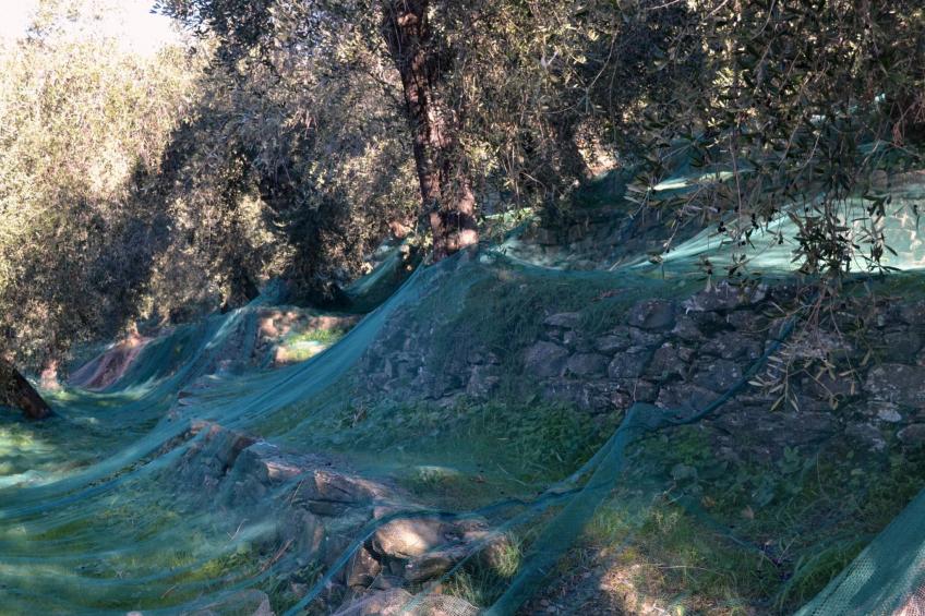 Charmantes Appartment in Diano San Pietro - foto 23