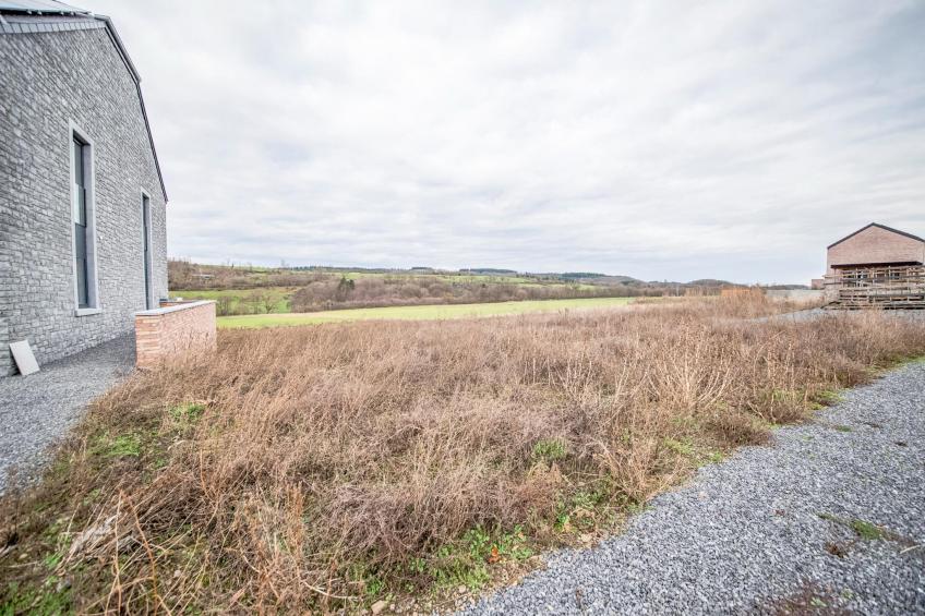 Le vol du milan - foto 32