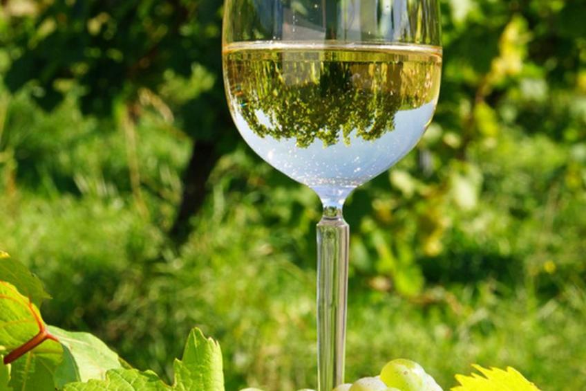 Elztalblick - foto 42