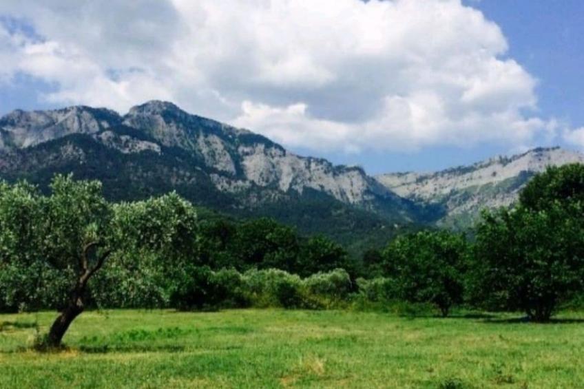 Casa O mit Swimmingpool and großer Terrasse - foto 35