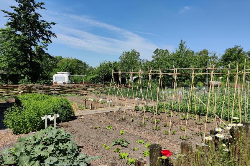 Groepsaccommodatie + 4 large greenhouses (36 personen) - foto 31